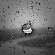 Wet Apple Logo wallpaper