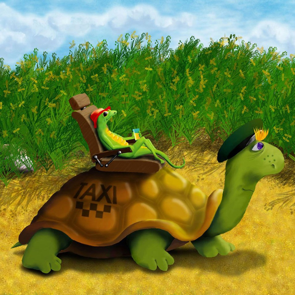 Taxi Turtle wallpaper