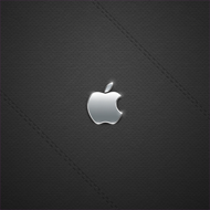 Leather Apple Logo iPad 3 wallpaper