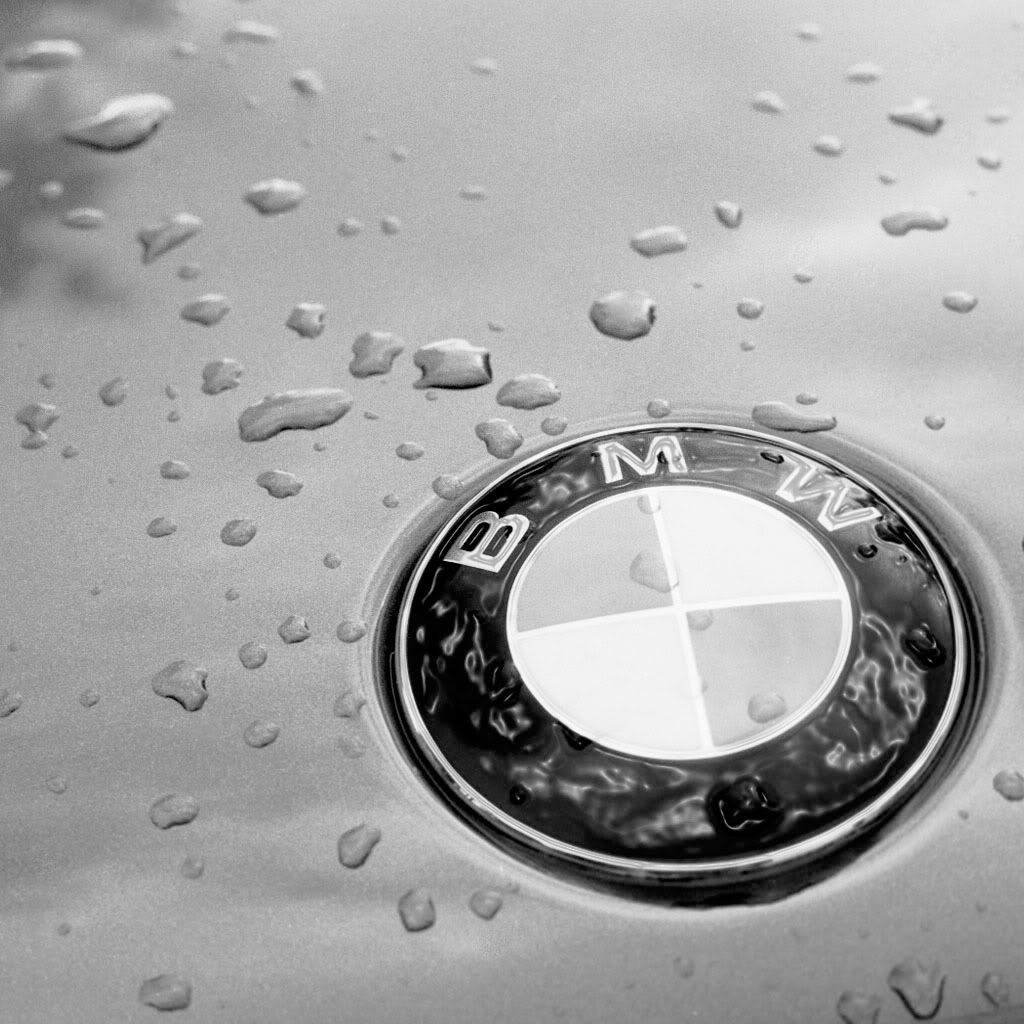 BMW Logo wallpaper