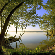 Nature Bay wallpaper