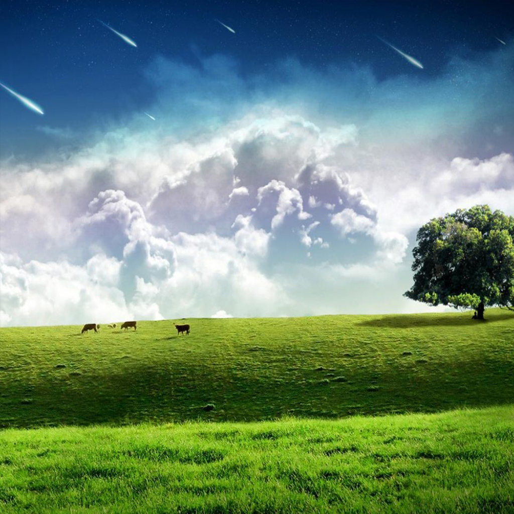Nature versus Asteroids wallpaper